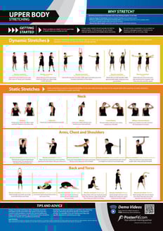 Upper Body Stretching Poster
