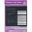 Program Flow Example Poster