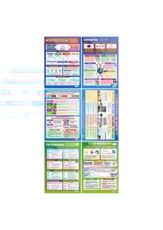 Computers in Society Posters - Set of 6