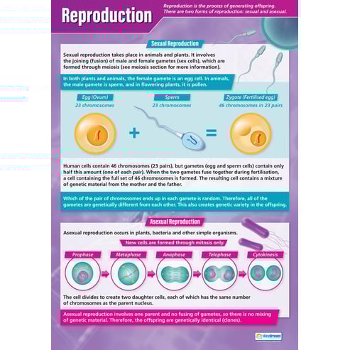 Reproduction Poster