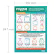 Polygons Poster