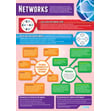 Networks Poster