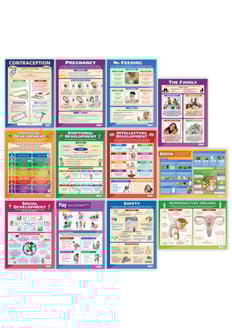 Child Development Posters - Set of 12 
