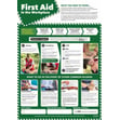 First Aid in the Workplace poster