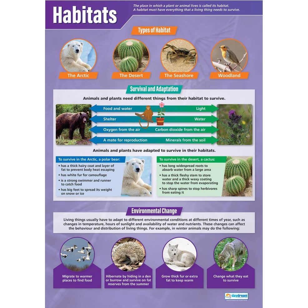 Habitats Poster Daydream Education