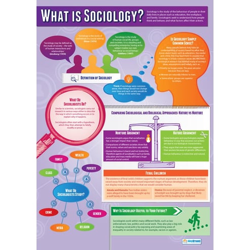 Introduction to Sociology Posters - Set of 3 