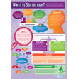 Introduction to Sociology Posters - Set of 3 