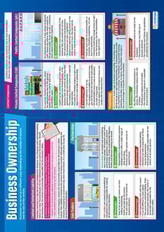 Business Ownership Poster