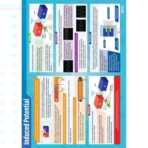 Induced Potential Poster