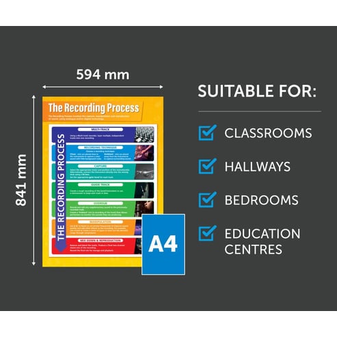 The Recording Process Poster
