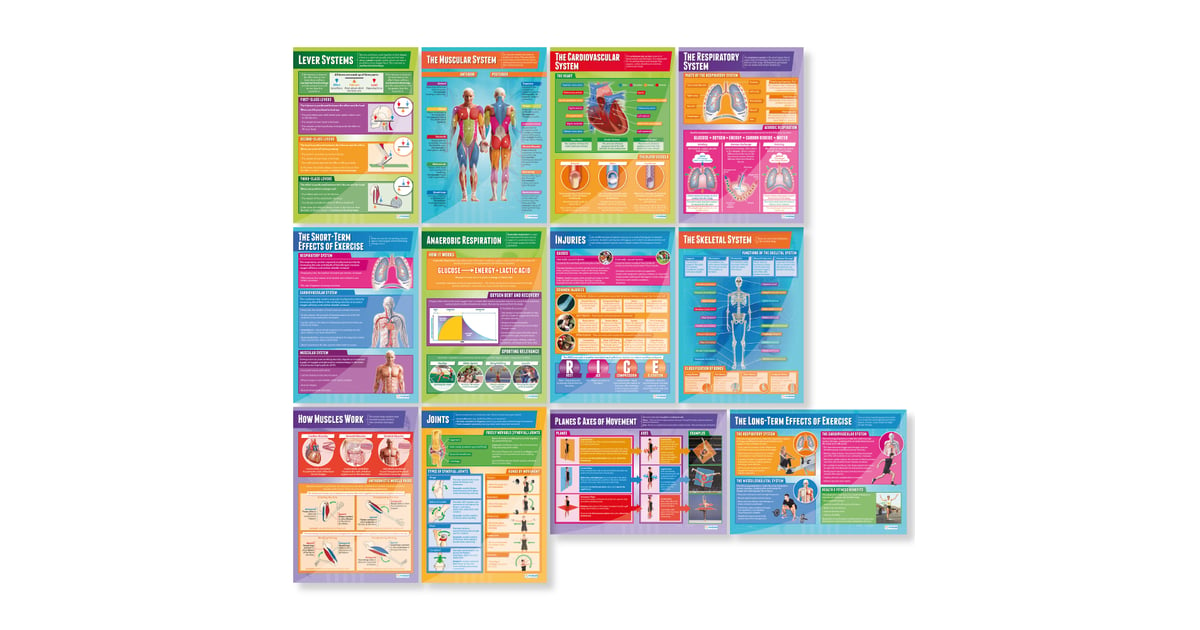 Fitness and Body Systems Posters - Set of 12 - Daydream Education