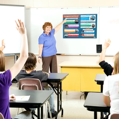 Ecological & Social Issues Poster