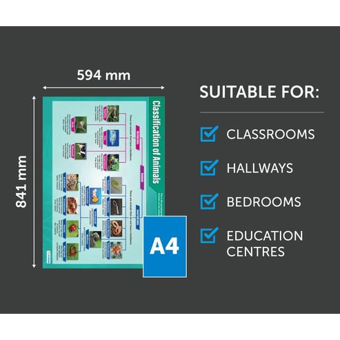 Classification of Animals Poster