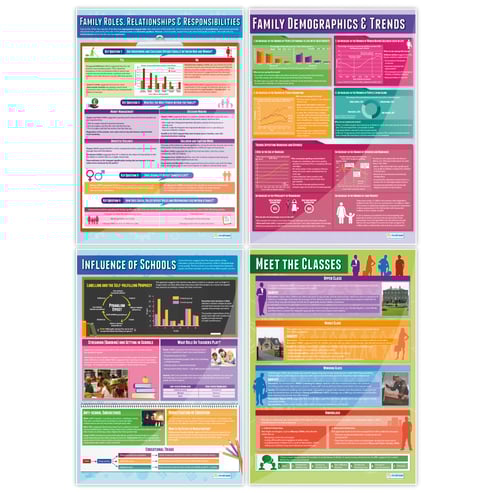 Sociology Posters - Set of 20 