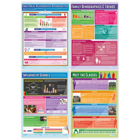 Sociology Posters - Set of 20 