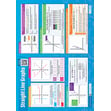 Straight Line Graphs Poster