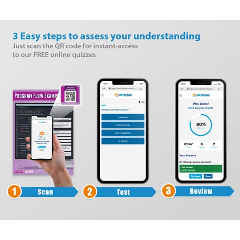 Program Flow Example Poster