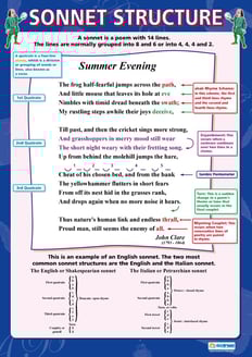 Sonnet Structure Poster