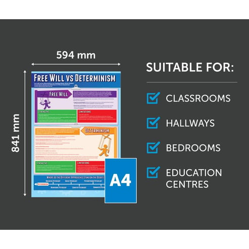 Free Will vs Determinism Poster