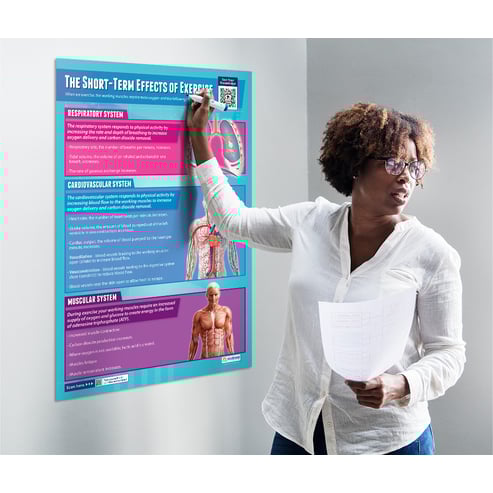 The Short-Term Effects of Exercise Poster