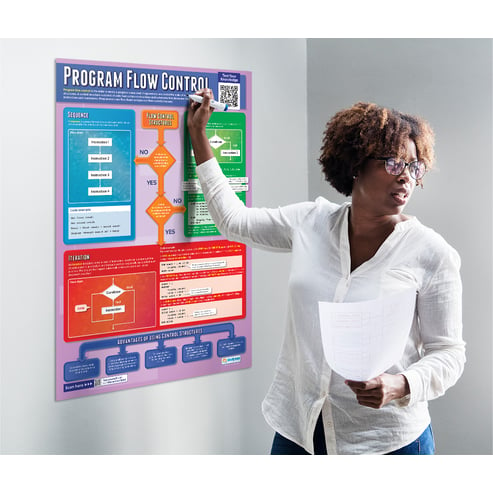 Program Flow Control Poster