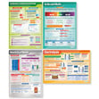 Chemical Changes Posters - Set of 4