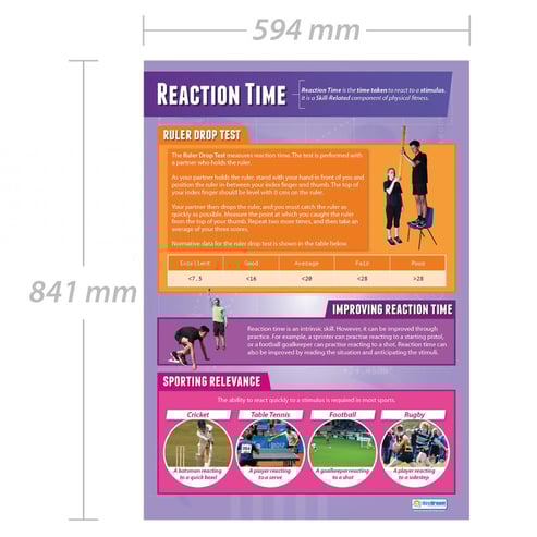 Reaction Time Poster