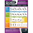 Chest Exercise Poster
