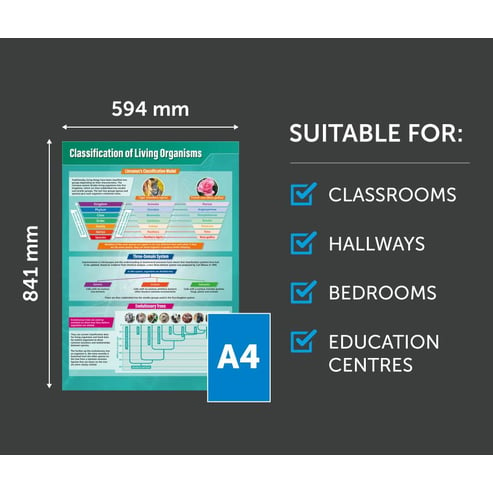 Classification of Living Organisms Poster