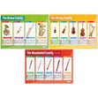 Instruments of the Orchestra Posters - Set of 6