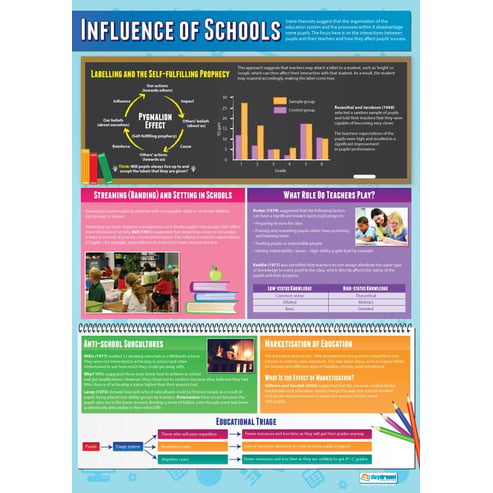 Influence of Schools Poster