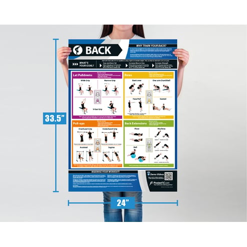 Back Workout Poster