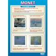 Monet Poster