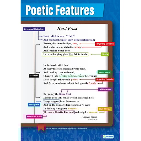 Studying Poetry Posters - Set of 4