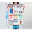 Reactivity of Metals Poster