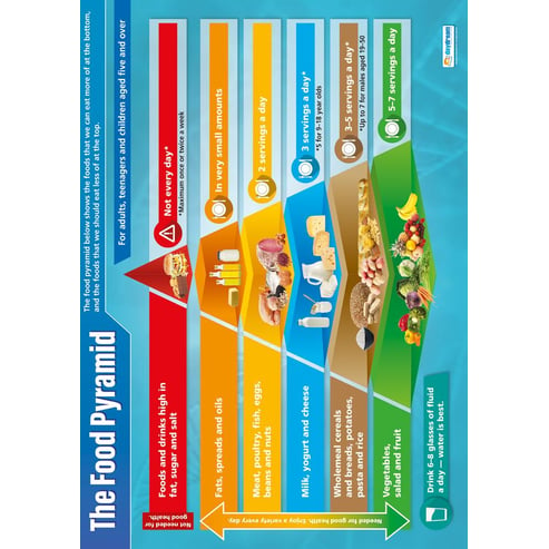 The Food Pyramid Poster