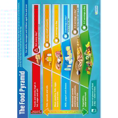 The Food Pyramid Poster