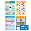 Electrical Circuits Posters - Set of 4