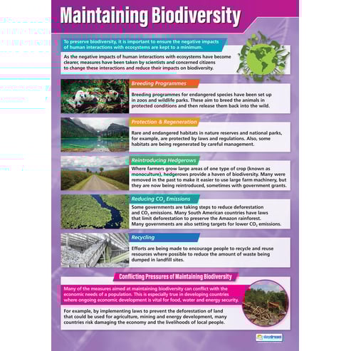 Maintaining Biodiversity Poster