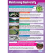 Maintaining Biodiversity Poster