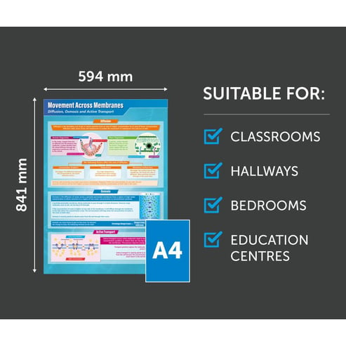 Movement Across Membranes Poster