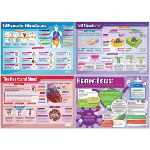 Biology Posters - Set of 13 