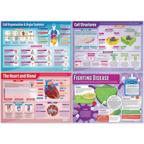 Biology Posters - Set of 13 