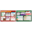 Medicine through History Posters - Set of 6 