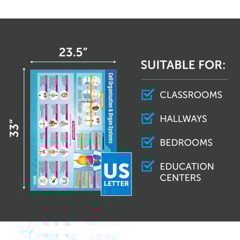 Cell Organization & Organ Systems Poster