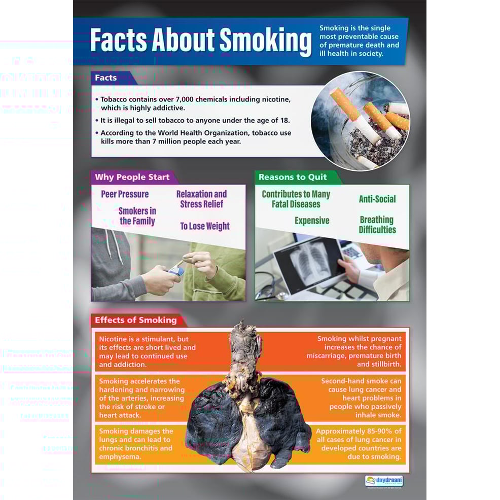 Facts About Smoking Poster Daydream Education