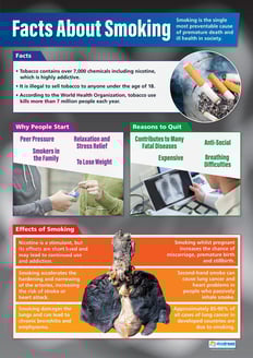 Facts About Smoking Poster