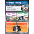 Facts About Smoking Poster