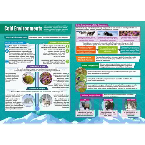 Global Ecosystems Posters - Set of 4