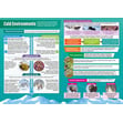 Global Ecosystems Posters - Set of 4